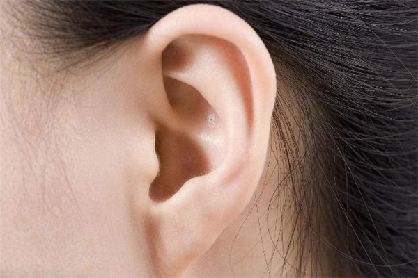 豐耳垂最好的方法 豐耳垂是永久的嗎