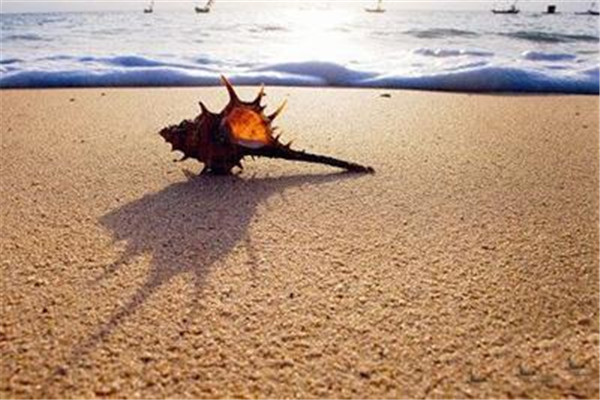 曬傷用什么藥 曬傷要注意曬后修復(fù) 曬傷用什么藥 曬傷要注意曬后修復(fù)