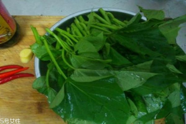 紅薯葉有什么好處呢 怎么做紅薯葉好吃呢 紅薯葉有什么好處呢 怎么做紅薯葉好吃呢