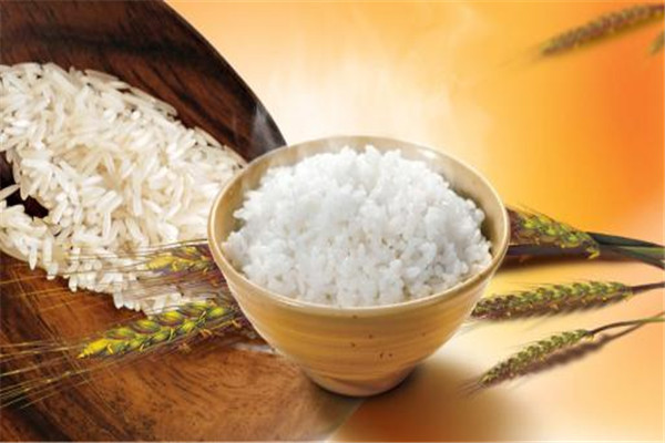 米飯吃多了有什么壞處 米飯不建議吃的太多 米飯吃多了有什么壞處 米飯不建議吃的太多