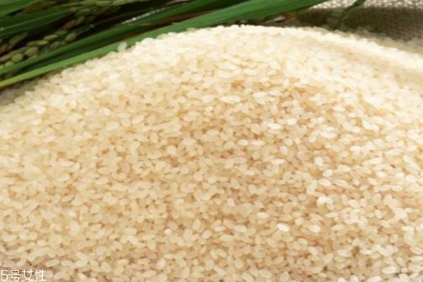 大米應(yīng)該怎么做呢 大米的禁忌人群有什么 大米應(yīng)該怎么做呢 大米的禁忌人群有什么
