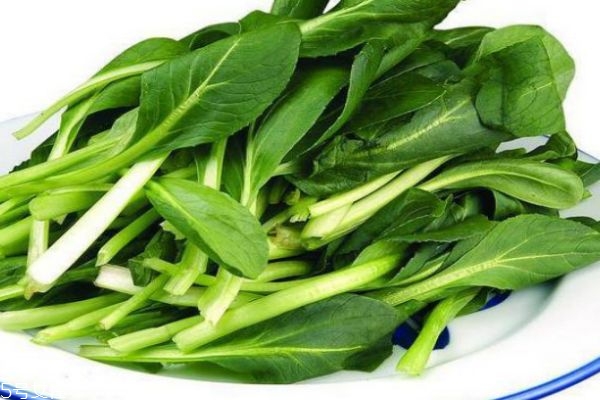 雞毛菜有什么食用禁忌嗎 雞毛菜一般幾月份上市呢 雞毛菜有什么食用禁忌嗎 雞毛菜一般幾月份上市呢