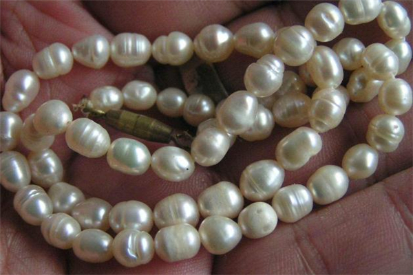 珍珠項(xiàng)鏈脫皮是假的嗎 珍珠項(xiàng)鏈為什么會(huì)脫皮 珍珠項(xiàng)鏈脫皮是假的嗎 珍珠項(xiàng)鏈為什么會(huì)脫皮