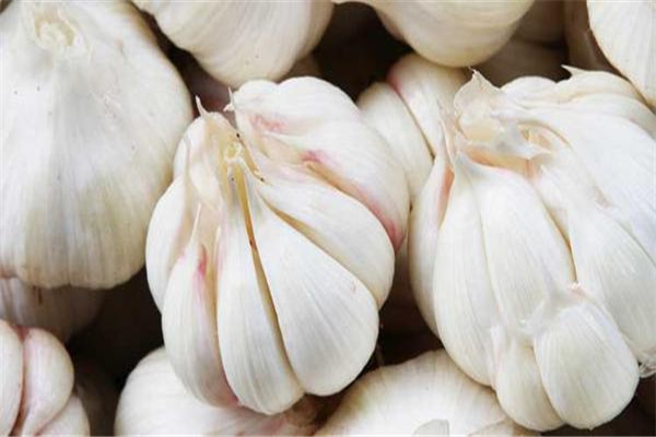 生吃大蒜能壯陽嗎 生吃大蒜要適量 生吃大蒜能壯陽嗎 生吃大蒜要適量