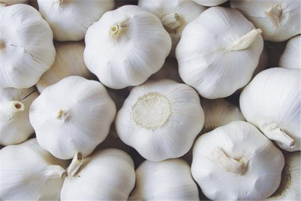 生吃大蒜能壯陽嗎 生吃大蒜要適量 生吃大蒜能壯陽嗎 生吃大蒜要適量