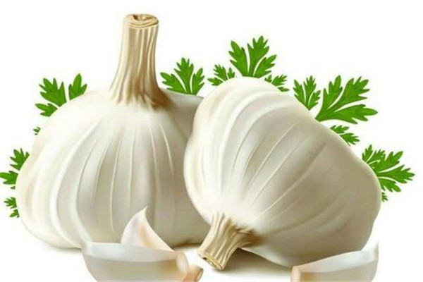 生吃大蒜對(duì)腎有什么好處 生吃大蒜不宜過(guò)量 生吃大蒜對(duì)腎有什么好處 生吃大蒜不宜過(guò)量