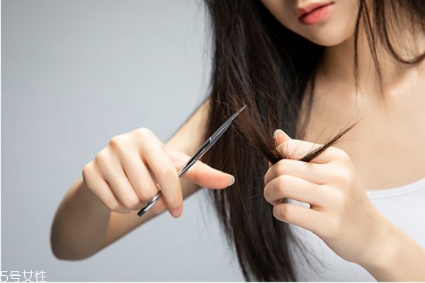 頭皮清潔有必要嗎 如何深層清潔頭皮 頭皮清潔有必要嗎 如何深層清潔頭皮