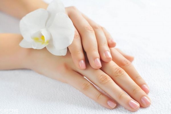 護手霜有哪些作用 護手霜的功效 護手霜有哪些作用 護手霜的功效