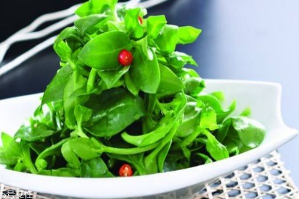 穿心蓮可以治療痘痘嗎 孕婦可以吃穿心蓮嗎 穿心蓮可以治療痘痘嗎 孕婦可以吃穿心蓮嗎