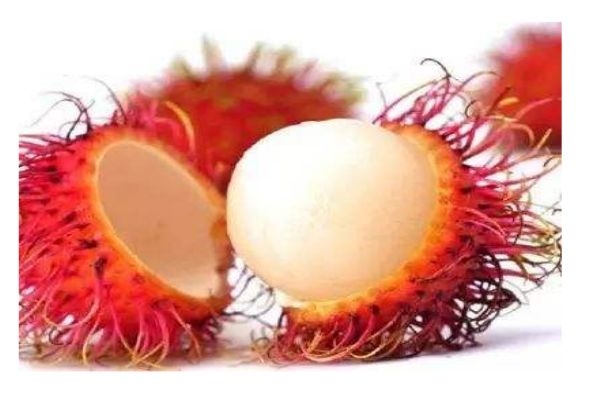 什么是紅毛丹呢 紅毛丹有什么營養(yǎng)價(jià)值呢