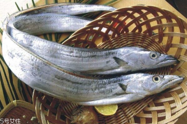 帶魚有什么營養(yǎng)價(jià)值呢 吃帶魚有什么好處呢 帶魚有什么營養(yǎng)價(jià)值呢 吃帶魚有什么好處呢
