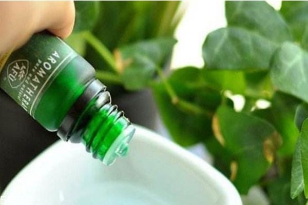 阿芙是一個(gè)怎么樣的牌子呢 阿芙是哪個(gè)國家的呢