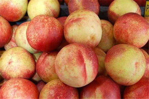 桃子的核能種嗎 桃子的核怎么種 桃子的核能種嗎 桃子的核怎么種