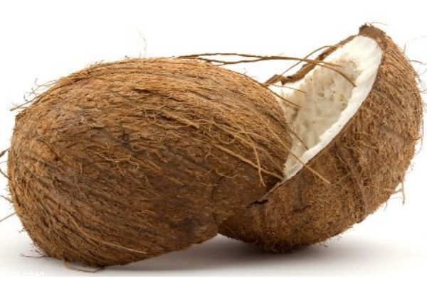 椰子生長在哪里呢 椰子有什么營養(yǎng)價值呢 椰子生長在哪里呢 椰子有什么營養(yǎng)價值呢