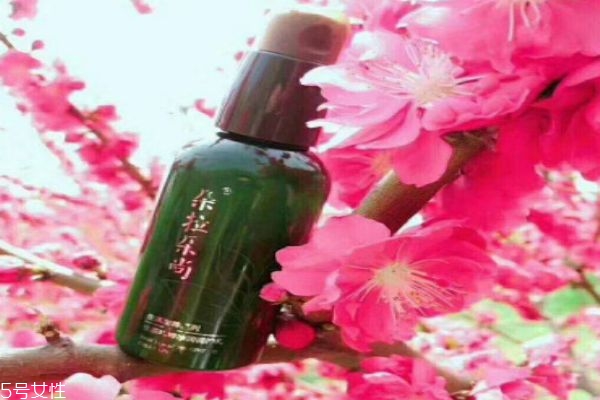 朵拉朵尚是一個怎么樣的護(hù)膚品牌呢 朵拉朵尚適合什么樣的年齡人群呢