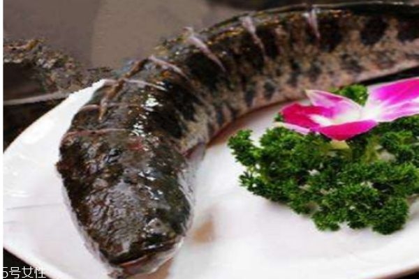 黑魚怎么做好吃呢 黑魚多少錢一斤呢 黑魚怎么做好吃呢 黑魚多少錢一斤呢