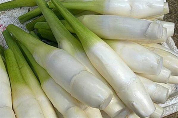 茭白吃多了會(huì)怎么樣 茭白太多吃不完怎么辦 茭白吃多了會(huì)怎么樣 茭白太多吃不完怎么辦