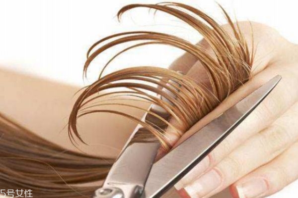 經(jīng)常剪頭發(fā)有什么好處 長時(shí)間不剪頭發(fā)有什么危害 經(jīng)常剪頭發(fā)有什么好處 長時(shí)間不剪頭發(fā)有什么危害