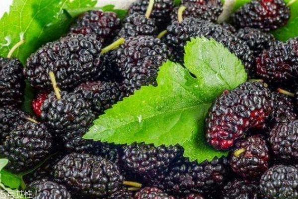 桑葚干有什么營養(yǎng)價值呢 吃桑葚干有什么好處呢 桑葚干有什么營養(yǎng)價值呢 吃桑葚干有什么好處呢