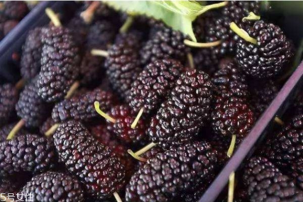 桑葚干有什么營養(yǎng)價值呢 吃桑葚干有什么好處呢 桑葚干有什么營養(yǎng)價值呢 吃桑葚干有什么好處呢