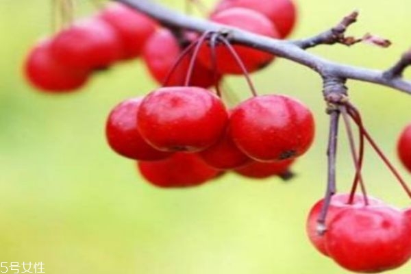 海棠果多少錢一斤呢 海棠果有什么食用禁忌呢 海棠果多少錢一斤呢 海棠果有什么食用禁忌呢