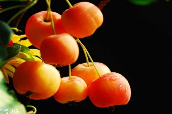 海棠果多少錢一斤呢 海棠果有什么食用禁忌呢 海棠果多少錢一斤呢 海棠果有什么食用禁忌呢