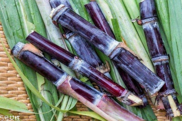 甘蔗有什么營養(yǎng)價值呢 吃甘蔗有什么好處呢 甘蔗有什么營養(yǎng)價值呢 吃甘蔗有什么好處呢