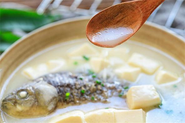 鯽魚(yú)豆腐湯孕婦能吃嗎 鯽魚(yú)豆腐湯孕婦喝了有什么好處
