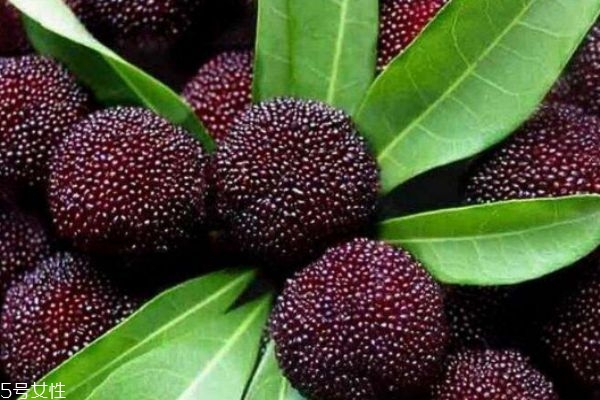 楊梅有什么營養(yǎng)價值呢 吃楊梅有什么好處呢 楊梅有什么營養(yǎng)價值呢 吃楊梅有什么好處呢