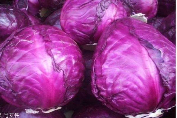 紫甘藍有什么營養(yǎng)價值呢 紫甘藍的生長環(huán)境怎么樣呢