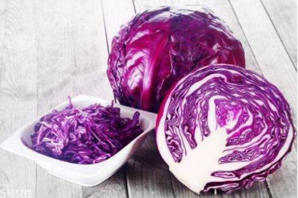 紫甘藍有什么營養(yǎng)價值呢 紫甘藍的生長環(huán)境怎么樣呢