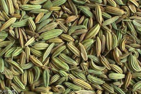 什么是小茴香呢 小茴香有什么營養(yǎng)價值呢 什么是小茴香呢 小茴香有什么營養(yǎng)價值呢