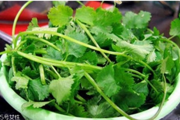 什么是蕪荽是 蕪荽有什么營(yíng)養(yǎng)價(jià)值呢 什么是蕪荽是 蕪荽有什么營(yíng)養(yǎng)價(jià)值呢