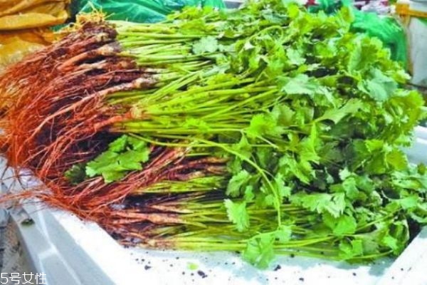 什么是蕪荽是 蕪荽有什么營(yíng)養(yǎng)價(jià)值呢 什么是蕪荽是 蕪荽有什么營(yíng)養(yǎng)價(jià)值呢