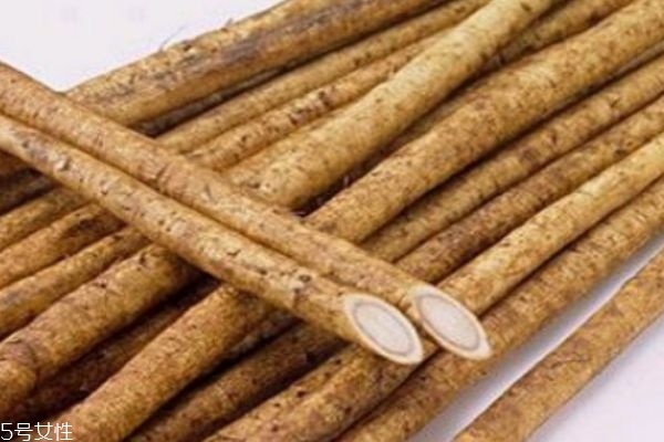 什么是牛蒡呢 牛蒡有什么營養(yǎng)價值呢 什么是牛蒡呢 牛蒡有什么營養(yǎng)價值呢