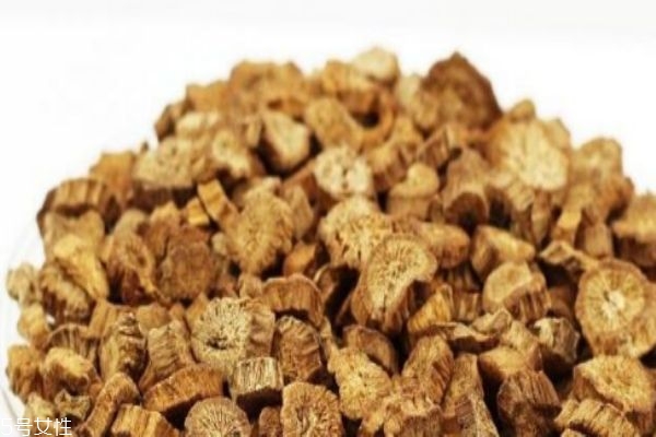 牛蒡可以怎么服用呢 孕婦可以吃牛蒡嗎 牛蒡可以怎么服用呢 孕婦可以吃牛蒡嗎