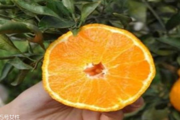 丑橘的生長(zhǎng)環(huán)境是怎么樣的呢 丑橘一般幾月份上市呢 丑橘的生長(zhǎng)環(huán)境是怎么樣的呢 丑橘一般幾月份上市呢