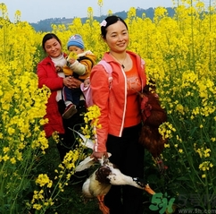 結(jié)婚后可以回娘家嗎？結(jié)婚后多久可以回娘家？