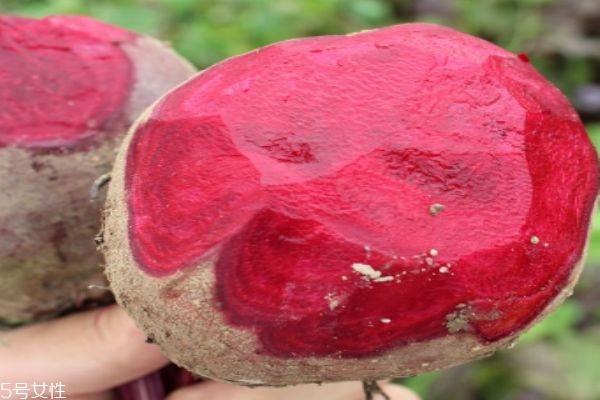 什么是紅菜頭呢 紅菜頭有什么營養(yǎng)價值呢 什么是紅菜頭呢 紅菜頭有什么營養(yǎng)價值呢