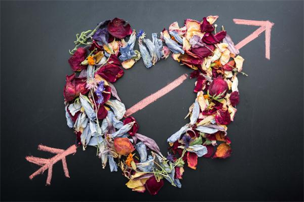 表白需要準備禮物嗎 表白一定要送花嗎 表白需要準備禮物嗎 表白一定要送花嗎