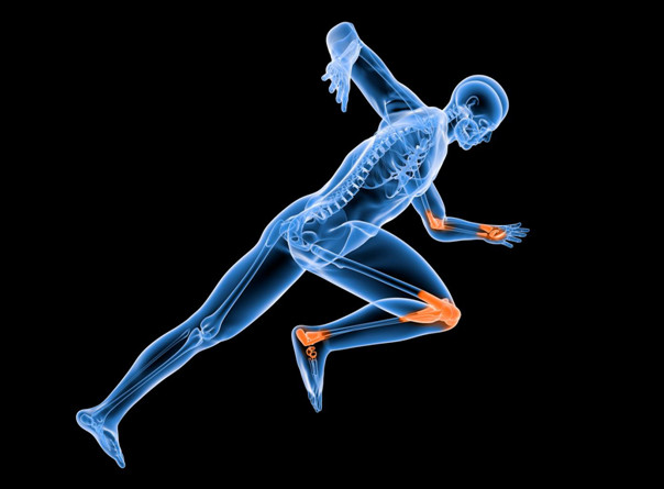 氨糖軟骨素是什么？日常生活中如何補(bǔ)充氨糖軟骨素