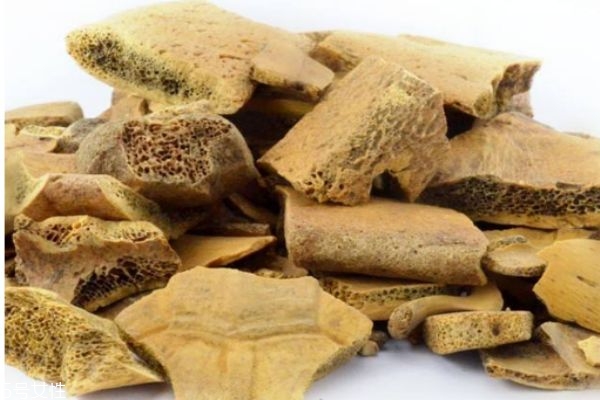 什么是龜甲呢 龜甲有什么營養(yǎng)價值呢 什么是龜甲呢 龜甲有什么營養(yǎng)價值呢