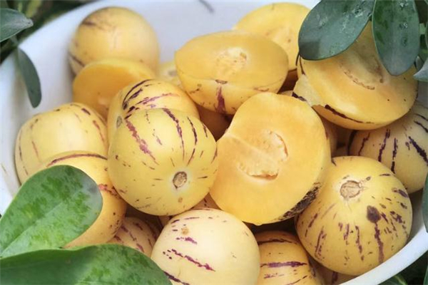 人參果一天最多吃幾個(gè) 人參果吃多了會怎樣 人參果一天最多吃幾個(gè) 人參果吃多了會怎樣