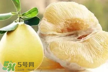 蜜柚是哪個(gè)季節(jié)的水果？蜜柚和沙田柚的區(qū)別是什么？