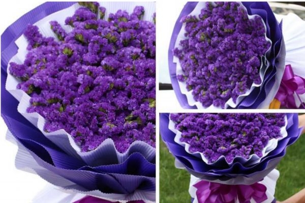 勿忘我的花語是什么呢 勿忘我的市場價格是怎么樣的呢 勿忘我的花語是什么呢 勿忘我的市場價格是怎么樣的呢