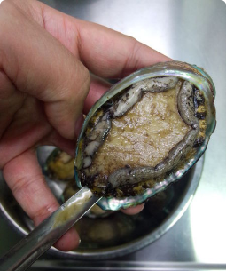 鮑魚怎么吃簡單又營養(yǎng) 餐桌上的美食 鮑魚怎么吃簡單又營養(yǎng) 餐桌上的美食