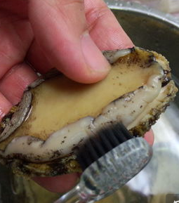 鮑魚怎么吃簡單又營養(yǎng) 餐桌上的美食 鮑魚怎么吃簡單又營養(yǎng) 餐桌上的美食