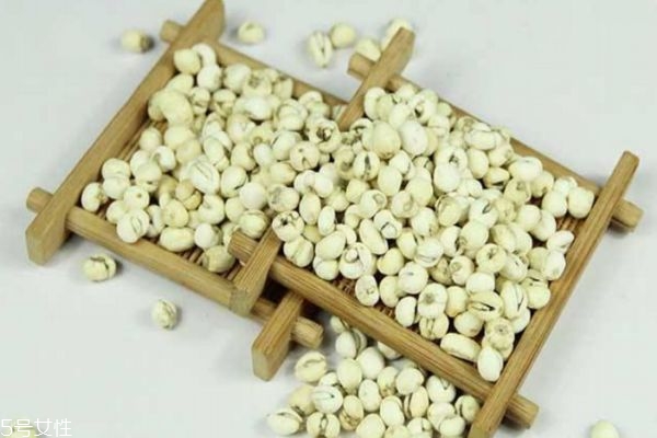 川貝的食用方法有什么呢 川貝的食用有什么注意的呢 川貝的食用方法有什么呢 川貝的食用有什么注意的呢