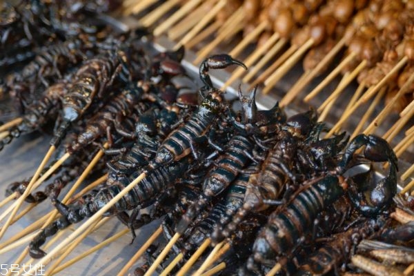 什么是全蝎呢 全蝎有什么作用呢 什么是全蝎呢 全蝎有什么作用呢