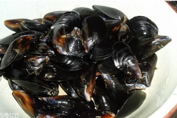 淡菜是海鮮嗎 什么人群不能吃淡菜呢 淡菜是海鮮嗎 什么人群不能吃淡菜呢